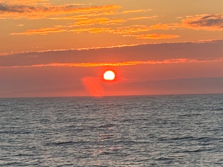 北海道の離島に帰省してきました。