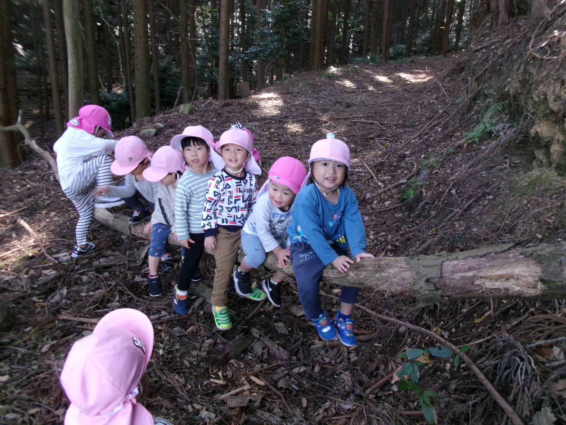 子育て・療育相談